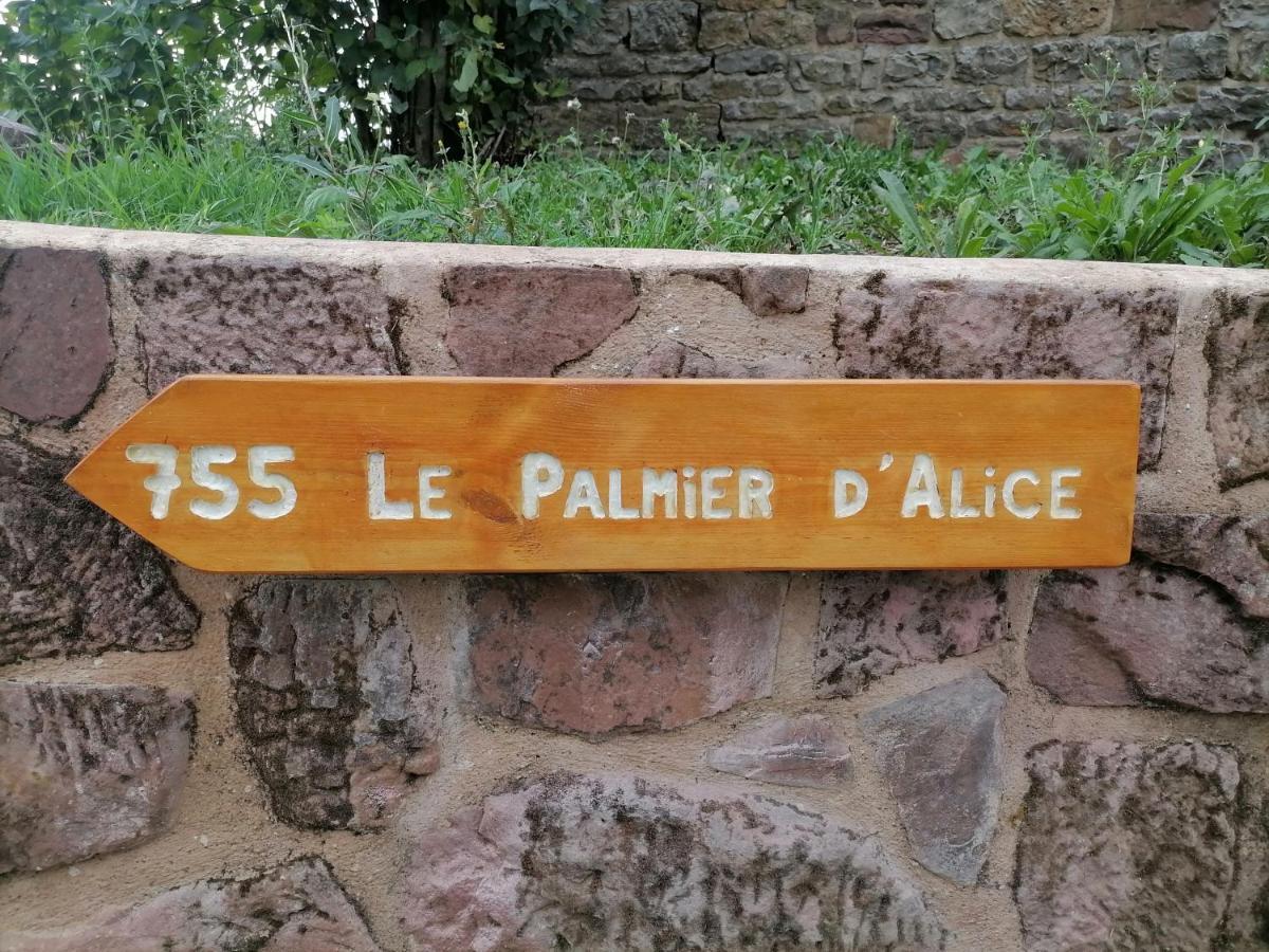Le Palmier D'Alice Bed & Breakfast Collonges-la-Rouge Exterior photo